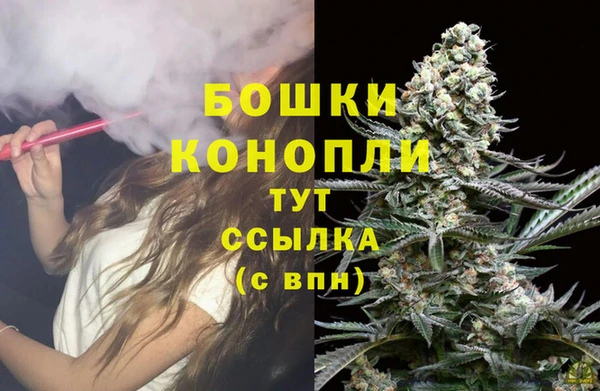 ПСИЛОЦИБИНОВЫЕ ГРИБЫ Михайловка