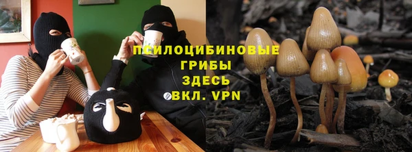ПСИЛОЦИБИНОВЫЕ ГРИБЫ Михайловка