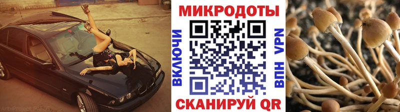 Галлюциногенные грибы Psilocybe Ува
